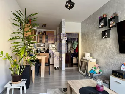 Nova Detelinara | 4zida.rs