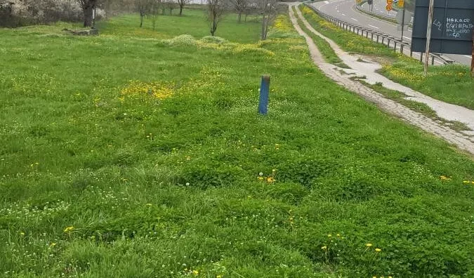 Plac | 4zida