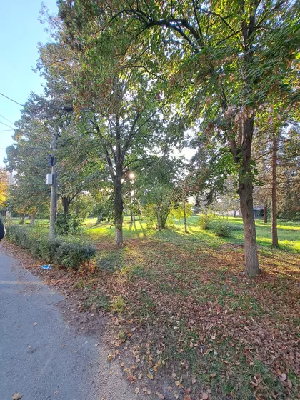 Jabučki Rit | 4zida.rs