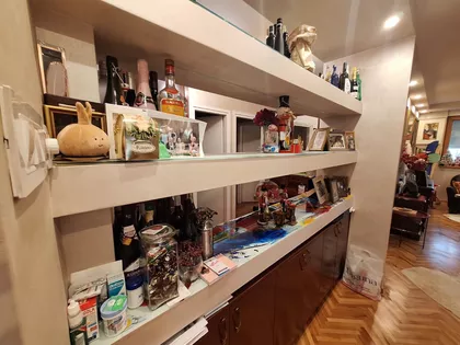 Vase Pelagića | 4zida.rs