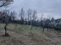 Zuce, Voždovac opština, Beograd | 4zida.rs