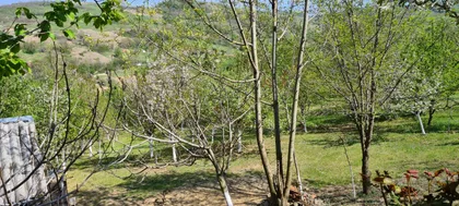 Dumbovo | 4zida.rs
