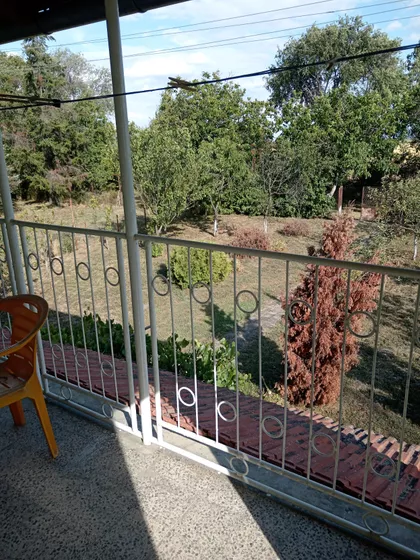 Tiganjica | 4zida.rs