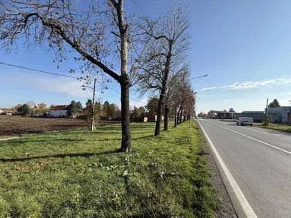 Bavaništanski Put | 4zida.rs