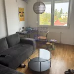 Novi Sad, Gradske lokacije, Avijatičarsko Naselje | 4zida.rs | 4zida.rs