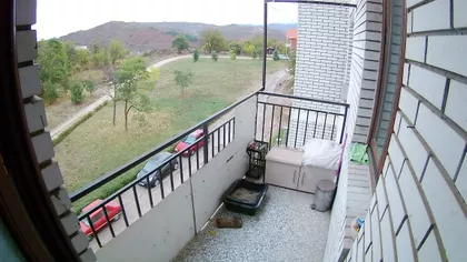 Mokranjčeva | 4zida.rs