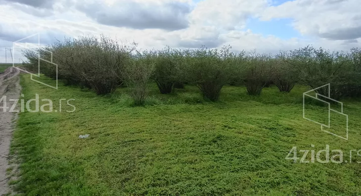 Poljoprivredno zemljište | 4zida