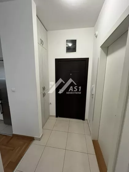Petra Drapšina | 4zida.rs