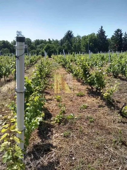 Petrovaradin | 4zida.rs