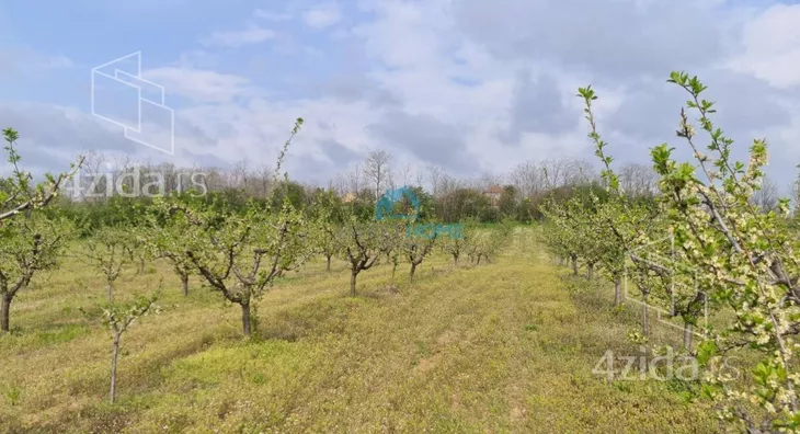 Poljoprivredno zemljište | 4zida