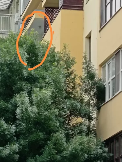 Sajmište | 4zida.rs