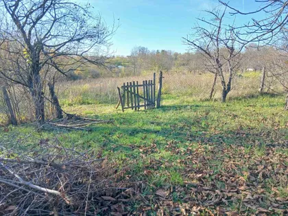 Veliki Borak | 4zida.rs