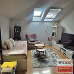 Novo Naselje, Gradske lokacije, Novi Sad | 4zida.rs | 4zida.rs