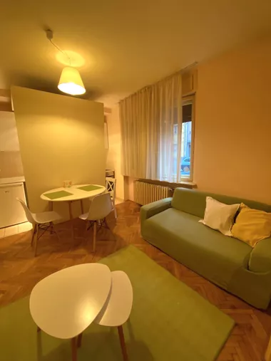 Vojvode Mišića
