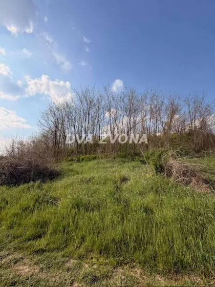 Čortanovci | 4zida.rs