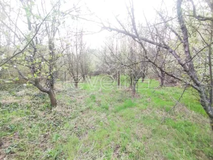 Velika Remeta | 4zida.rs