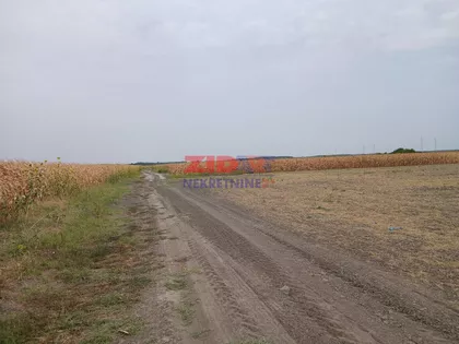 Ovča | 4zida.rs