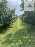 Poljoprivredno zemljište | 4zida