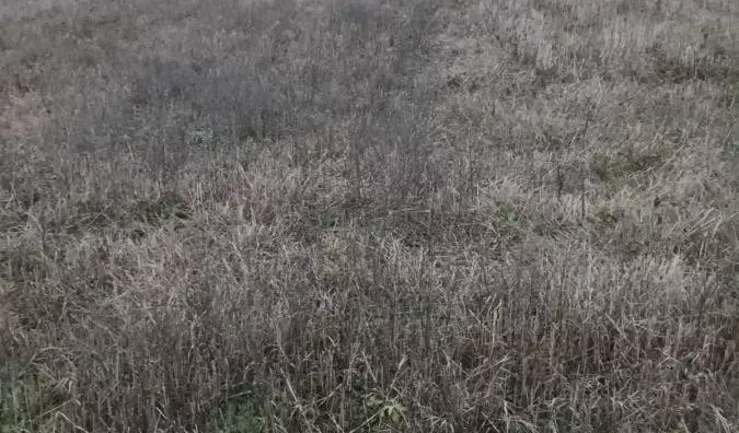 Poljoprivredno zemljište | 4zida