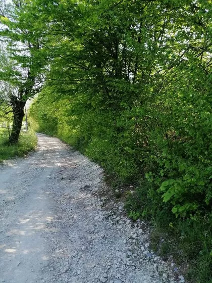 Vojvode Misica | 4zida.rs