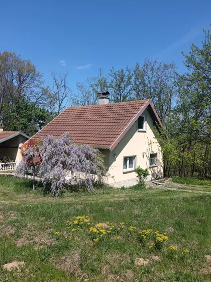 Obrenovački Put 91 | 4zida.rs