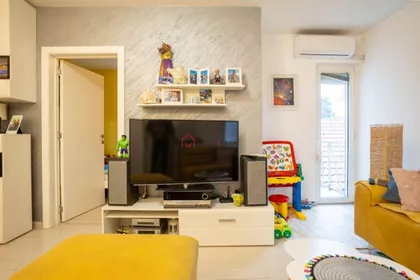 Zvezdarska Šuma | 4zida.rs