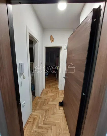 Salajka | 4zida.rs