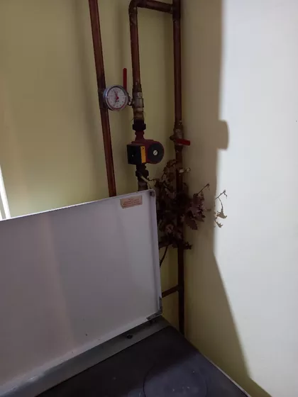 Koste Abraševića 5 | 4zida.rs