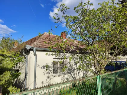 Mladih Gorana | 4zida.rs