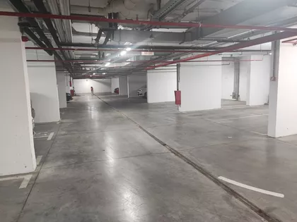 Mileve Marić Ajnštajn 80 | 4zida.rs