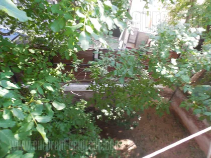 HRAM SVETOG SAVE | 4zida.rs