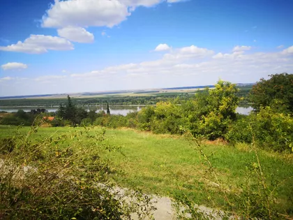 Vinogradarska bb | 4zida.rs