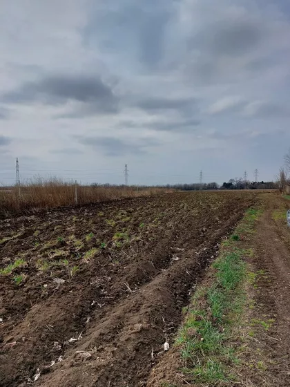 Plavi Horizonti | 4zida.rs