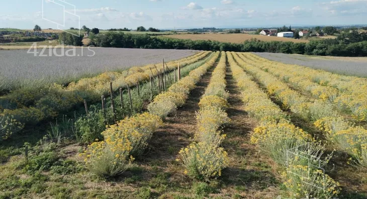 Poljoprivredno zemljište | 4zida