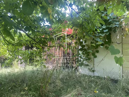 Radosava Živojinovića | 4zida.rs