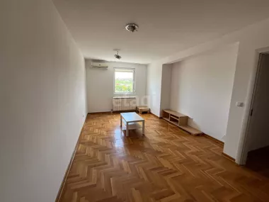 Stepa Stepanović