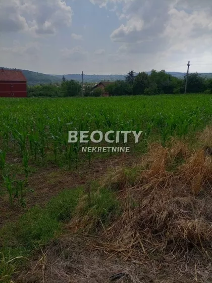 Zmaj Jovina | 4zida.rs