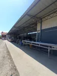 Lokal | 4zida
