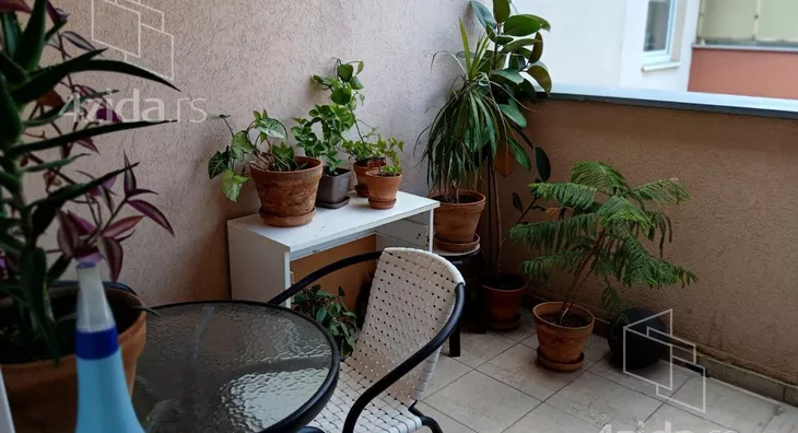 Petosoban stan | 4zida