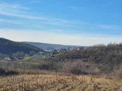 Put Za Markoviće | 4zida.rs