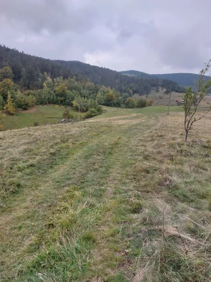 Šainovci | 4zida.rs