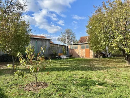 Žarka Savića | 4zida.rs