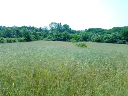 Gruža  | 4zida.rs