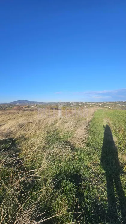 Potes Kolarica | 4zida.rs