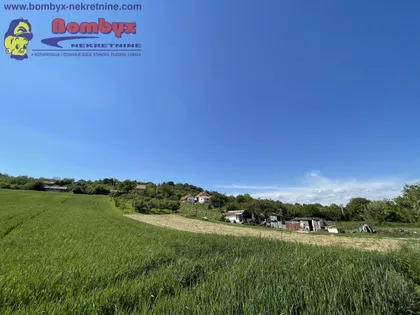 Sremska Kamenica | 4zida.rs