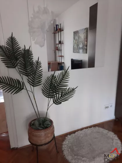 Novi Sad - Centar | 4zida.rs