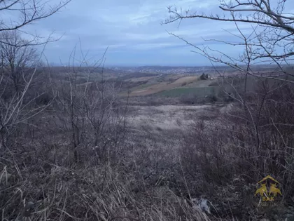 Petrovaradin | 4zida.rs