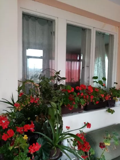 VUKA KARADŽIĆA | 4zida.rs