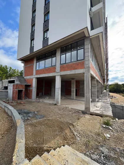 Liceja Kneževine Srbije | 4zida.rs