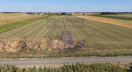 Čenej | 4zida.rs